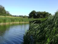 Павлополь - Последние фото