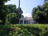 Борсуки з panoramio.com