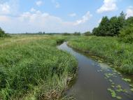 Турійськ з panoramio.com