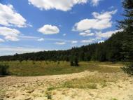 Деревки з panoramio.com