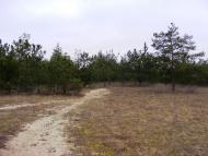 Кардашинка - Останні фото