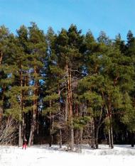 Дейманівка - Останні фото