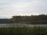 Берестяне з panoramio.com