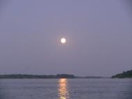 Келеберда - Останні фото