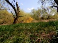 Червоноград з panoramio.com