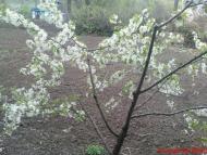 Шаргород з panoramio.com