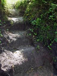 Новоугрузьке з panoramio.com