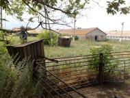 Осикове - Останні фото