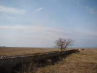 Волошине з panoramio.com