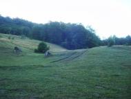 Красна з panoramio.com