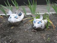 Краснодон з panoramio.com (ч.2)