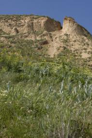 Дніпровське з panoramio.com