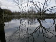 Воскресенівка з panoramio.com