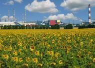 Червоне Озеро з panoramio.com