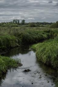 Турійськ з panoramio.com