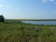 Карла Лібкнехта - Останні фото