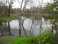 Воскресенівка з panoramio.com