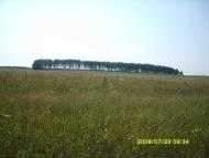Покровське - Останні фото