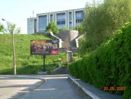 Тараща з panoramio.com