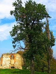 Свірж з panoramio.com