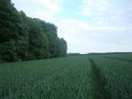 Ставчани з panoramio.com