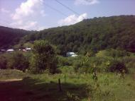 Кринцілів з panoramio.com