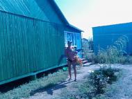 Більшовик з panoramio.com