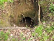 Гінці - Останні фото