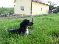 Великий Житин з panoramio.com