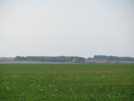 Дейкалівка - Останні фото