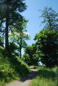 Свірж з panoramio.com