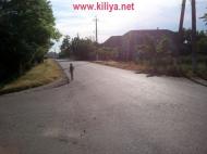 Шевченкове - Останні фото