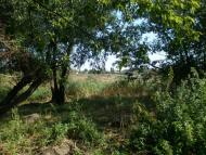 Синюхин Брід з panoramio.com