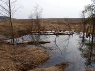 Осовець - Останні фото