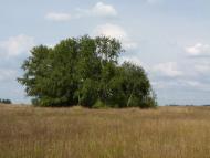 Сотницький Козачок з panoramio.com