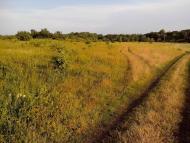 Юрки з panoramio.com