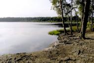 Лісне з panoramio.com