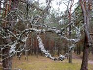 Партизанське з panoramio.com