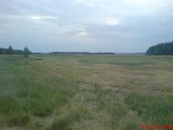 Горностаївка з panoramio.com