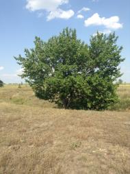 Зимогір'я - Останні фото