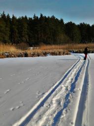 Дейманівка - Останні фото