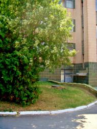 Неморож з panoramio.com