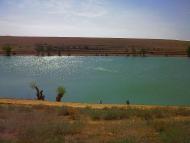 Кочергіне з panoramio.com