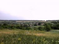 Ями - Останні фото