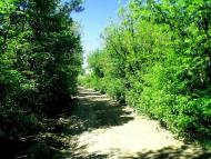 Селезнівка з panoramio.com