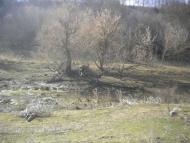 Яланець з panoramio.com