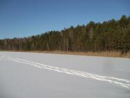 Партизанське з panoramio.com