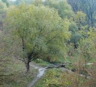 Зугрес з panoramio.com (ч.2) - Зугрэс