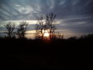 Вилок з panoramio.com