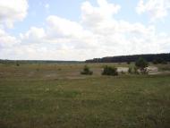 Голики з panoramio.com